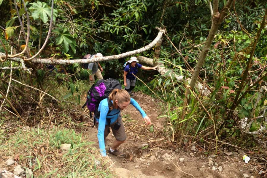 4 Days Inca Jungle Adventure to Machu Picchu - Who will enjoy this four-day adventure