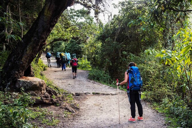 4 Days Inca Trail Adventure to Machu Picchu - The 4:00 AM start from Cusco