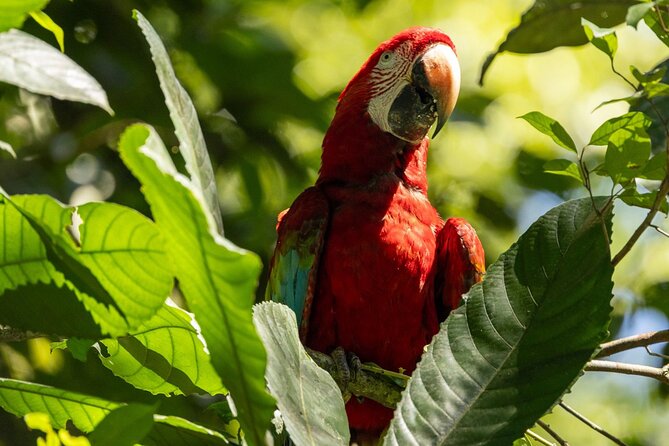 4 Days Manu Park Tour - What the $643 price includes