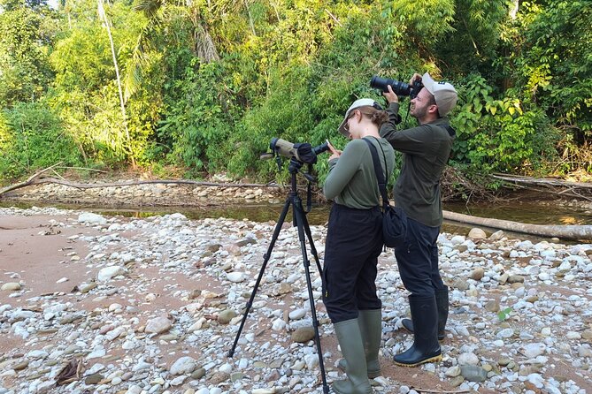 4 Days Manu Park Tour - The Treehouse Inn and jungle comfort
