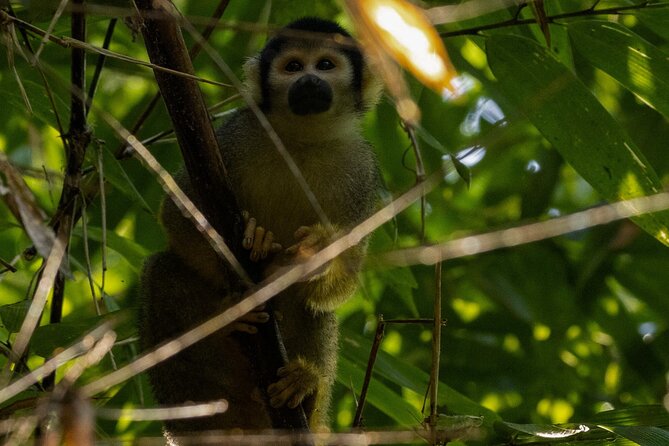 4 Days Manu Park Tour - The guides, safety, and the human side of the trip