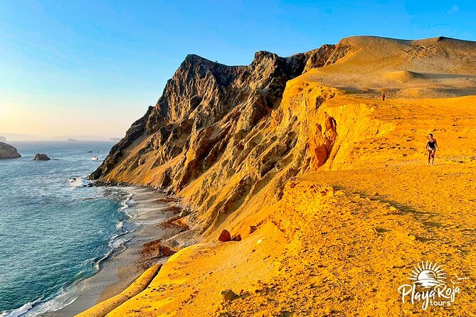 4 Hrs GOLDEN SHADOWS TREK in Paracas National Reserve - Guides, language, and the feel of a small group