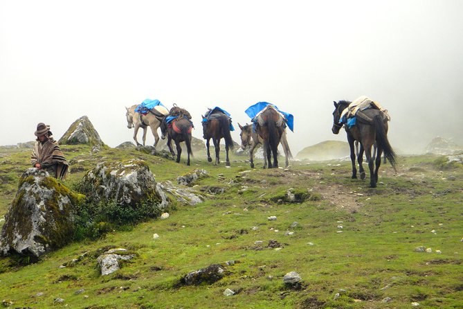 5-Day All-Inclusive Salkantay Trek To Machu Picchu - Guides, food, and the small-group advantage