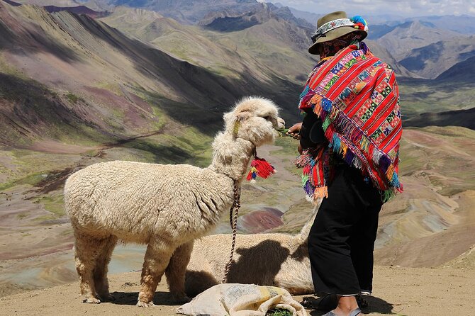 5 Days: Cusco, Sacred Valley, MachuPicchu and Rainbow Mountain - Day 4: Rainbow Mountain and the cost of the colors