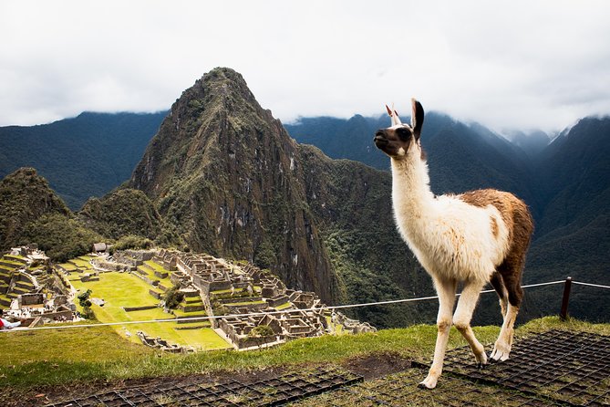 5 Days: Cusco || Sacred Valley || MachuPicchu || Moray & salt Mines || - A smart five-day route through Cusco and the Andes