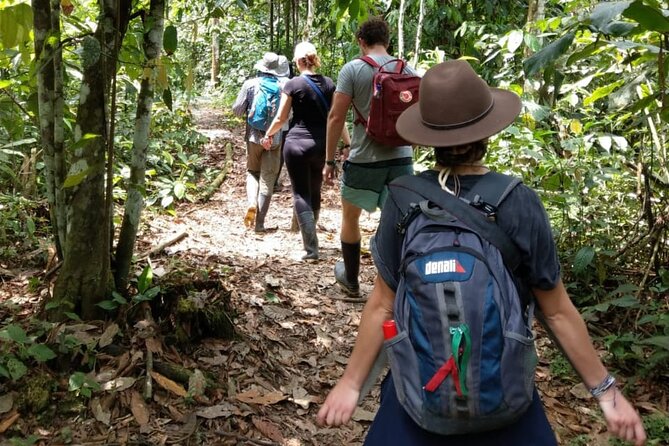 5 - Days Manu Jungle Tour with Hot Springs and Falls - Day 5: The long return to Cusco
