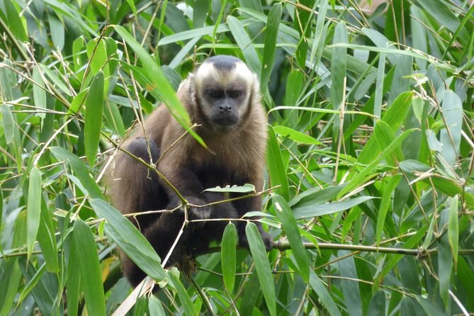 5 - Days Manu Jungle Tour with Hot Springs and Falls - The guide can make or break the jungle experience