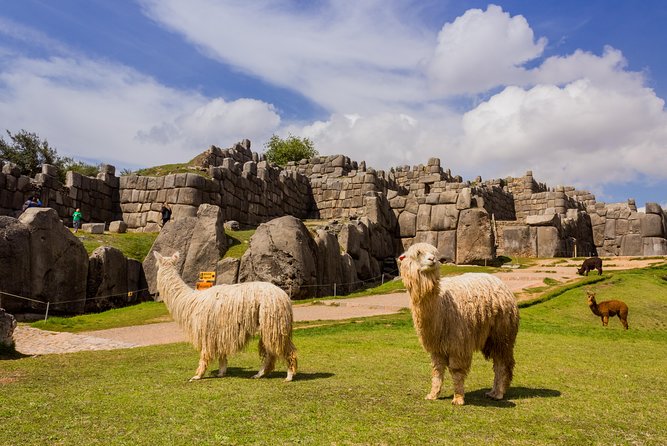6-Day Best of Peru: Cusco, Machu Picchu, and Lake Titicaca Tour - Day 4: The scenic Cusco to Puno bus