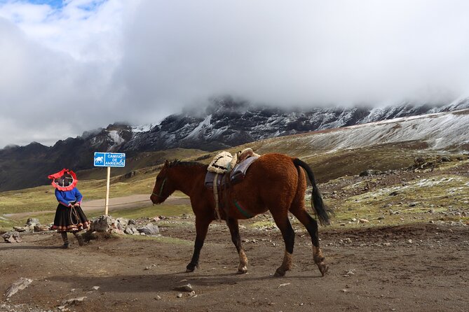 6-Day Cusco Andean Private Tour with Hotel Included - Day 5: Salt terraces and the strange circles of Moray