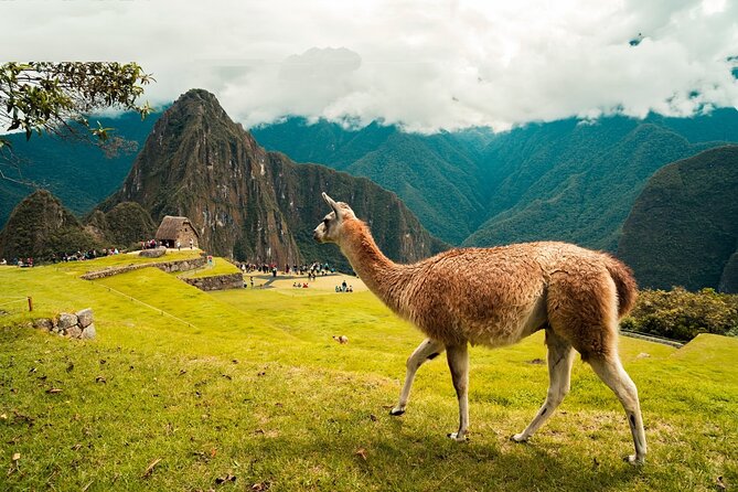6-Day Tour of Cusco Magico-Machu Picchu-Rainbow Mountain - Day 1: Qoricancha and Cusco’s hilltop ruins