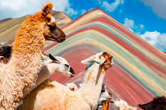 6-Day Tour of Cusco Magico-Machu Picchu-Rainbow Mountain - Day 3: Machu Picchu with trains, buses, and lunch
