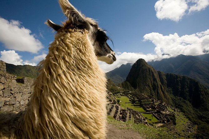 6 Days Exploring Cusco, Sacred Valley & Machu Picchu - Why this six-day route works well