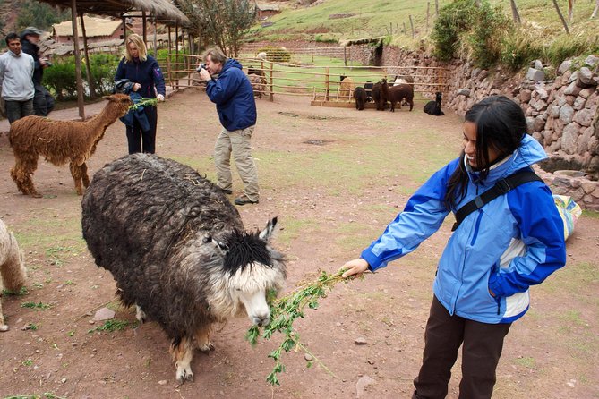 6 Days Exploring Cusco, Sacred Valley & Machu Picchu - Day 5: Machu Picchu by Voyager Train