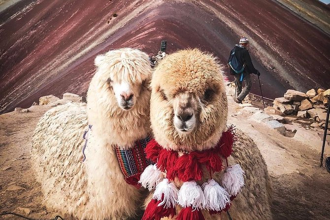 7 Colors Mountain Tour: Explore the Magic of Vinicunca in 1 Day - Key points at a glance