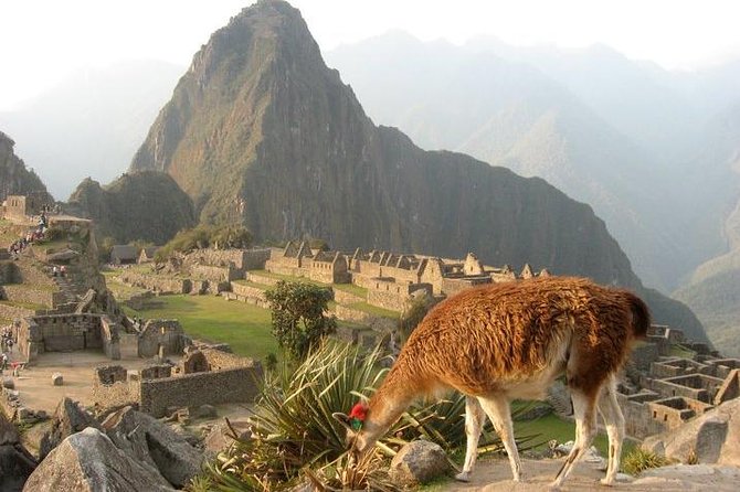 7-Day Lima and Cusco Tour with Sunrise at Machu Picchu - Day 1: A soft landing in Miraflores