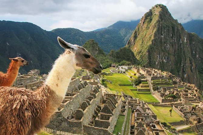 8 Days - Cusco || Sacred Valley || MachuPicchu || Rainbow Mountain ||Queswachaka - Day 6: Rainbow Mountain and a Long Road Day