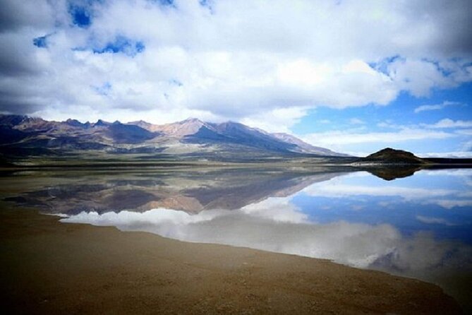 8-Hours Tour in Arequipa Laguna de Salinas with Pick-up - Why this day trip is worth considering
