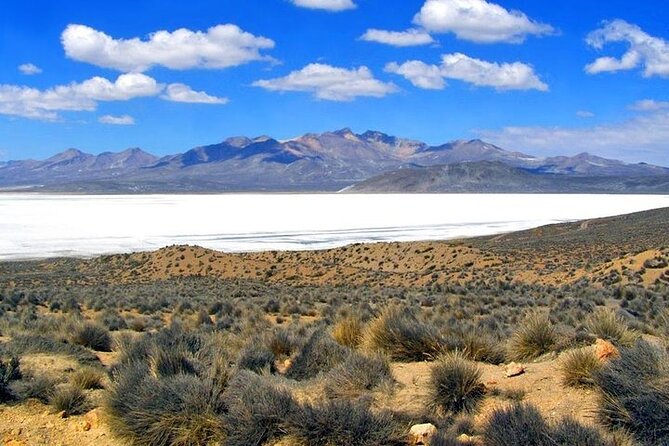 8-Hours Tour in Arequipa Laguna de Salinas with Pick-up - The small thermal wells