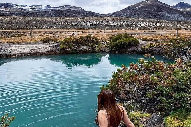 8-Hours Tour in Arequipa Laguna de Salinas with Pick-up - Guide quality and language