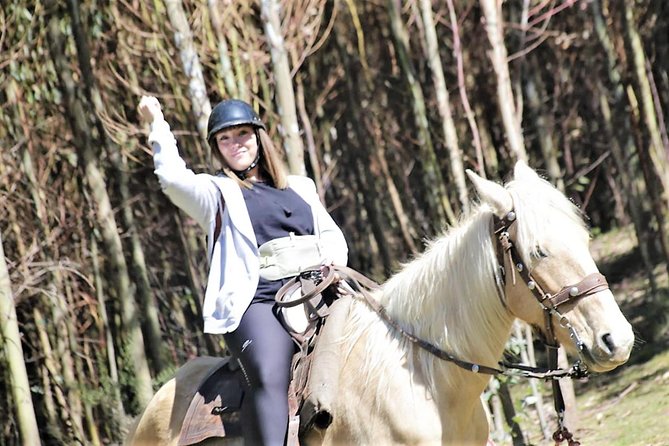 Adrenalin Mystic Tour Full Service - Key points to know before booking