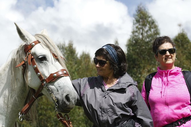 Adrenalin Mystic Tour Full Service - What the $65 price includes