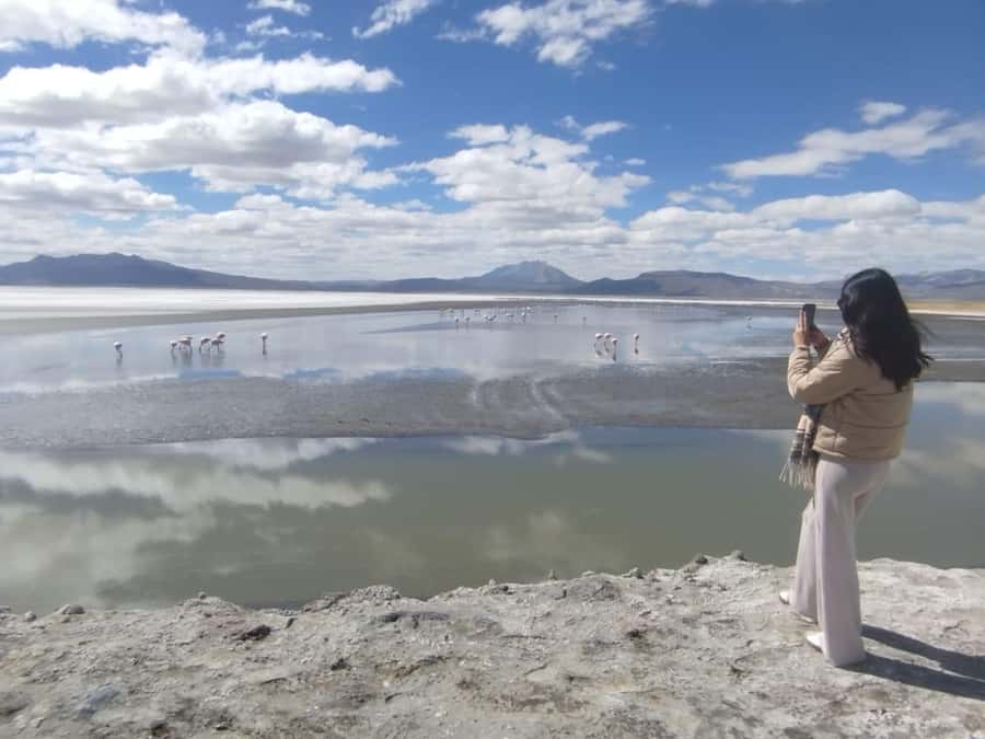 Adventure Day in Arequipa: Pillones Waterfall + Rock Forest - Who will enjoy this day most?