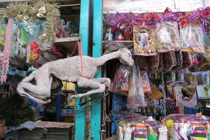 Airport pick up and City Tour (PRIVATE TOUR) - A smart arrival day in Arequipa
