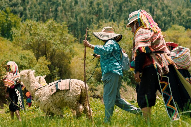 Alpaca Walk & Natural Dye Tour: A Memorable Full Day Experience - Key points at a glance