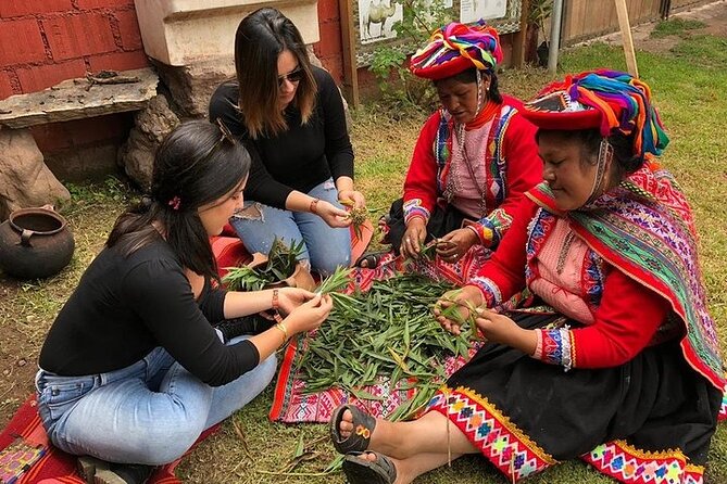 Alpaca Walk & Natural Dye Tour: A Memorable Full Day Experience - What $149.90 buys you