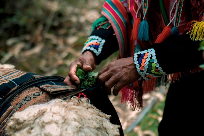 Alpaca Walk & Natural Dye Tour: A Memorable Full Day Experience - Who should book this Sacred Valley day?