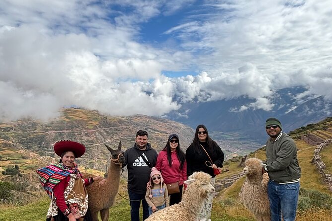 Alpaca Walk over the Sacred Valley of the Incas from Cusco - Key points to know before you book