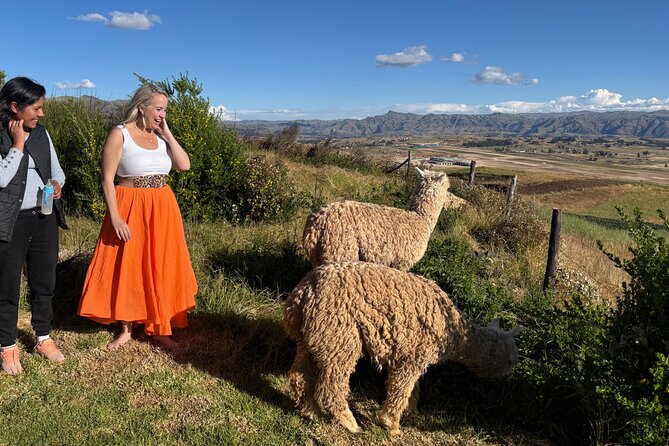 Alpaca Walk over the Sacred Valley of the Incas from Cusco - What this two-hour Cusco outing really offers