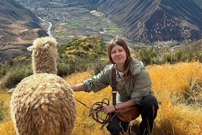 Alpaca Walk over the Sacred Valley of the Incas from Cusco - Walking with Inti, Maro, Wayra, and Brownie