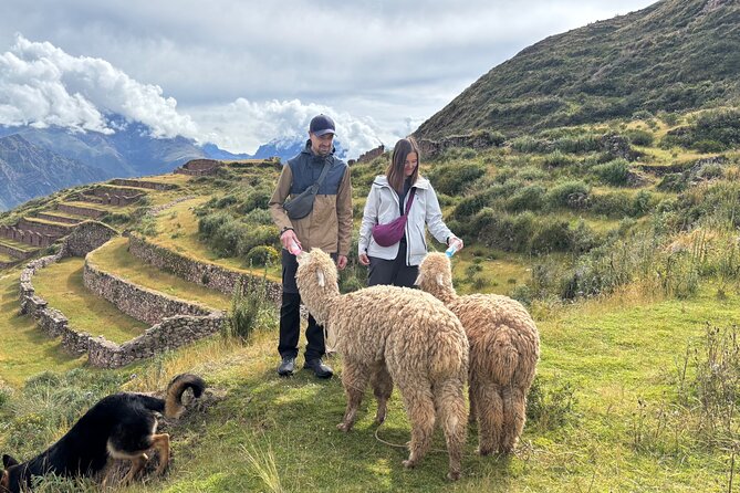 Alpaca Walk over the Sacred Valley of the Incas from Cusco - Chinchero, Quechua tradition, and textile culture