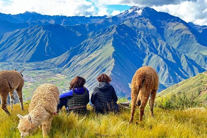 Alpaca Walk over the Sacred Valley of the Incas from Cusco - Cidelia and the family welcome at Sky Dome Peru