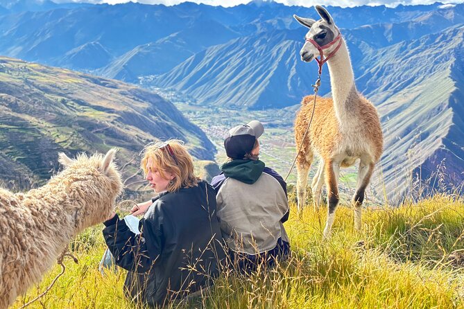 Alpaca Walk over the Sacred Valley of the Incas from Cusco - Altitude, walking, and practical comfort