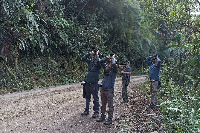 Amazon Jungle Tour 3 days - Acjanaco Pass and the first cloud forest views