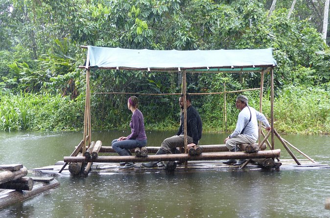 Amazon Jungle Tour 3 days - Hummingbirds and an optional river swim