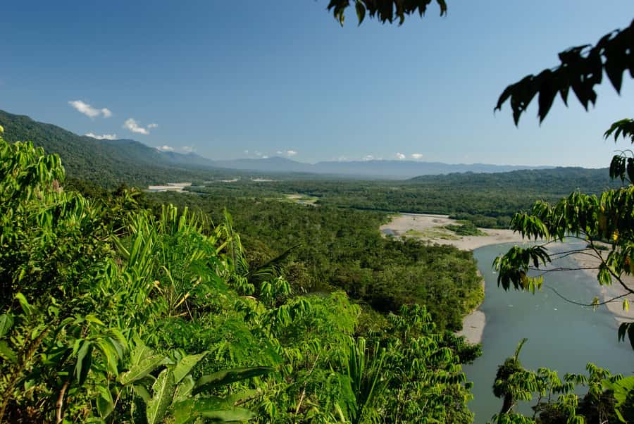 Amazonas Manu Cultural Zone 4 Days / 3 Nights - Booking advice and final verdict