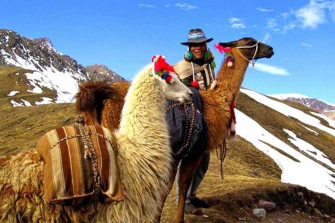Andean Getaway 5 Days to Machu Picchu - Guides, Communication, and Group Size