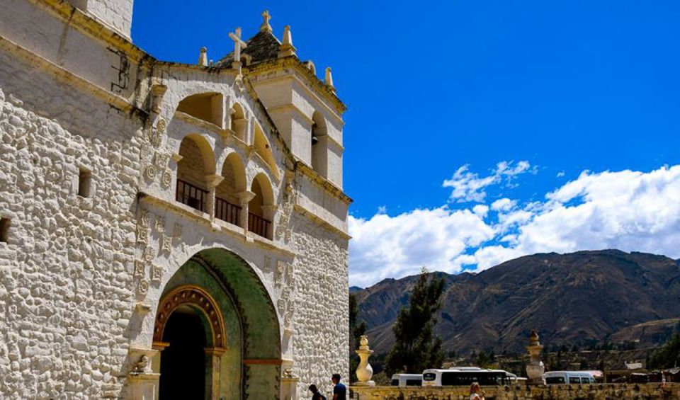 Andes: Colca Canyon Day-Trip - Toqrapampa and Pampa Cañahuas wildlife