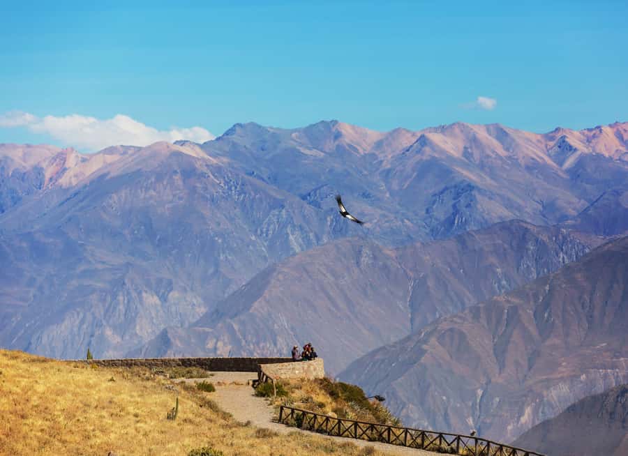 Arequipa: 2-Day Colca Canyon Classic Tour return to Arequipa - The 4,910-meter volcano viewpoint