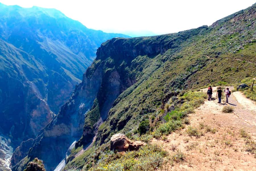 Arequipa: 2-day Colca Canyon Trekking, Ending in Puno - The 3:00 a.m. pickup from Arequipa