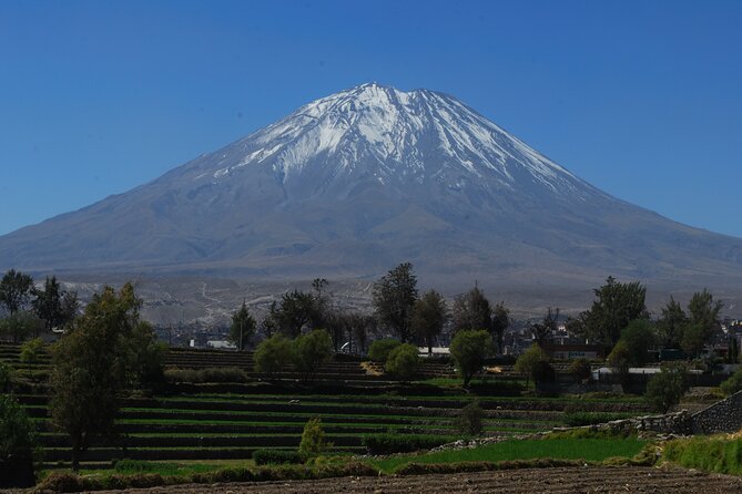 Arequipa Airport Arrival Transfer - Late arrivals and early-morning peace of mind