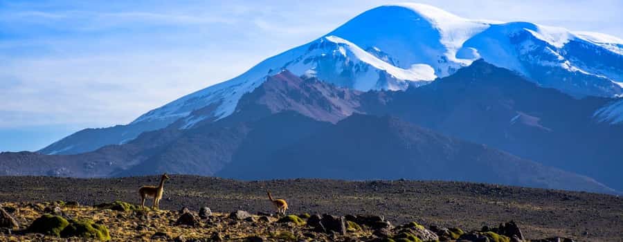 Arequipa | Ascent to Chachani Volcano 2 days / 1 night - What the $144 price really covers