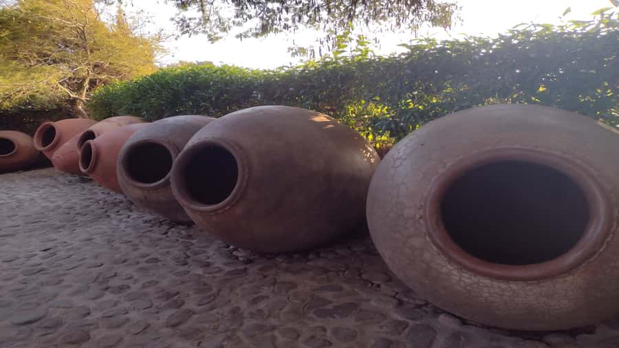 Arequipa: City and Countryside Panoramic Bus Tour - Is $22 good value?