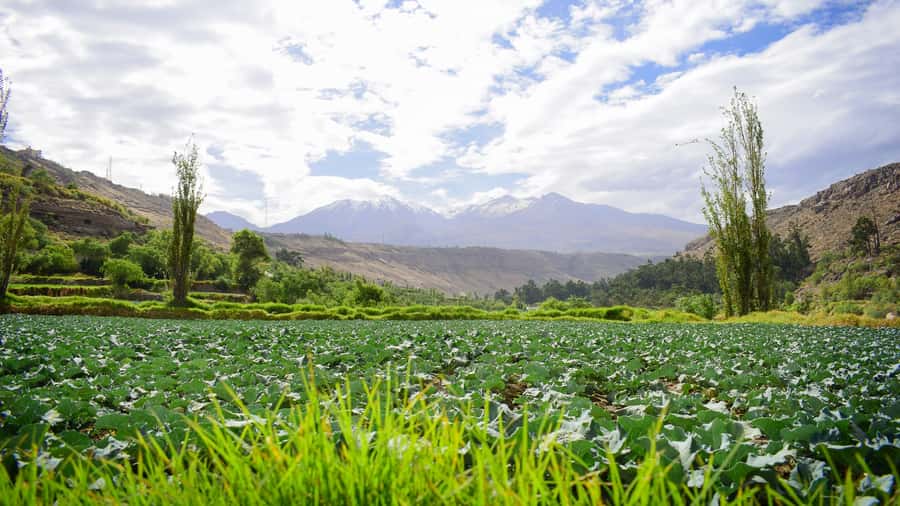 Arequipa: City and Countryside Panoramic Bus Tour - The Founder’s Mansion and Arequipa’s earliest colonial chapter