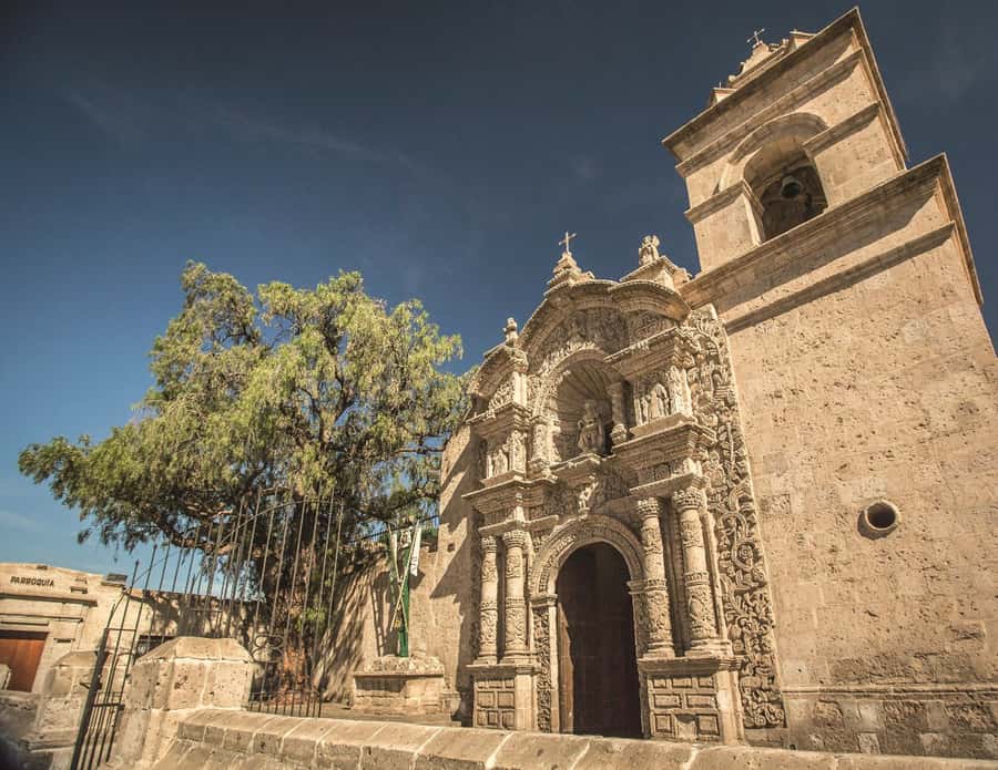 Arequipa: City Tour and Santa Catalina Monastery - Who should book this Arequipa tour?