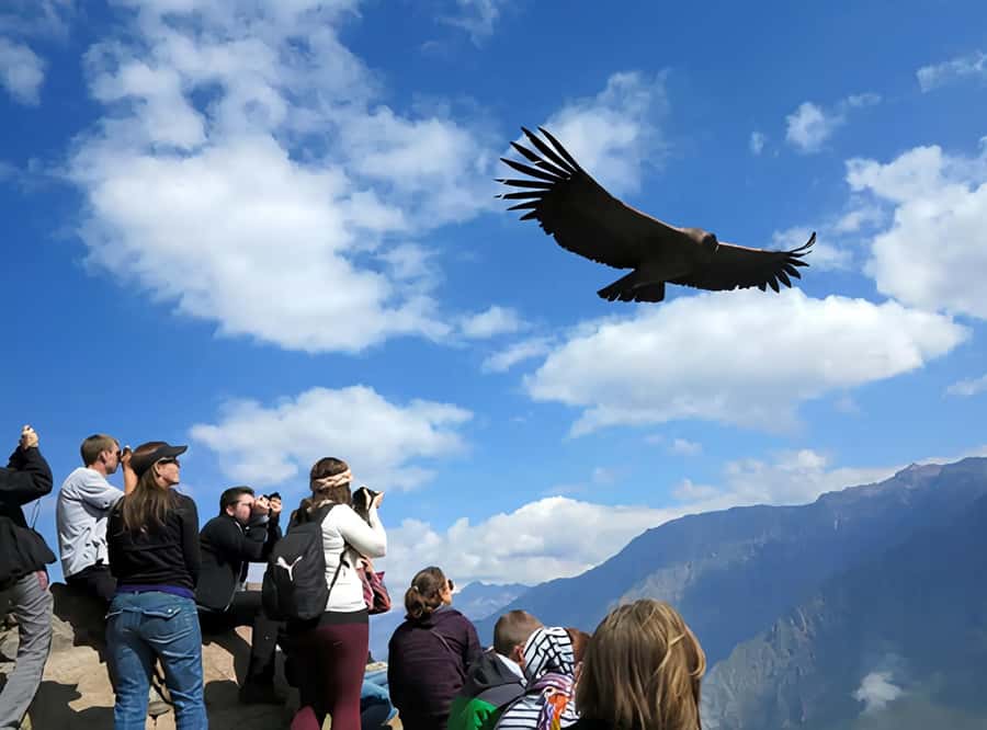 Arequipa: Full Day Colca Canyon Tour Roundtrip from Arequipa - Why the Colca Canyon trip is such a long day