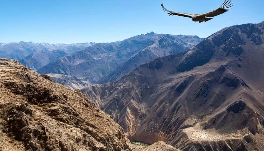 Arequipa: Full Day Colca Canyon Tour Roundtrip from Arequipa - Hot springs after the canyon